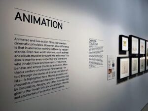 Museum Labels - Dry Transfer Letters - Free Shipping